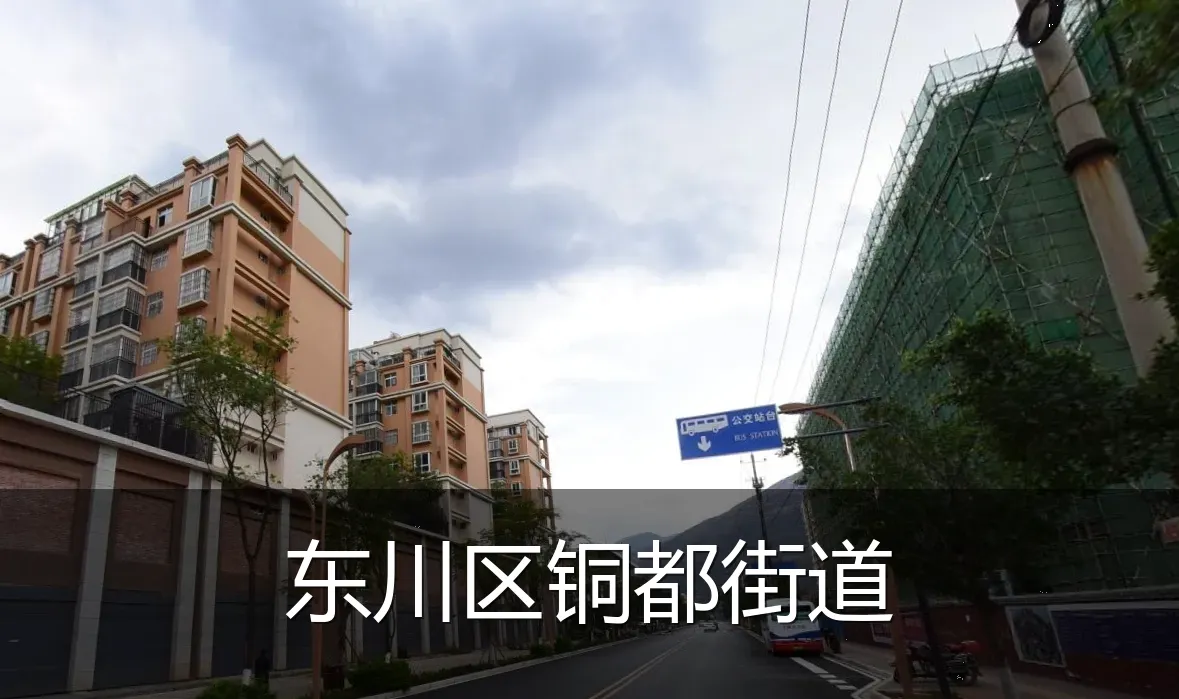 东川区铜都街道
