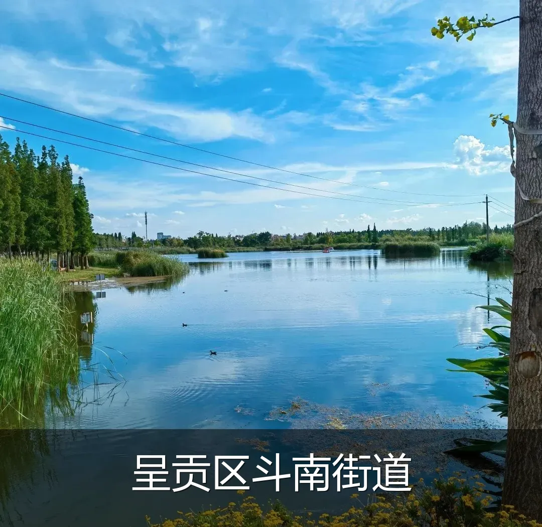 呈贡区斗南街道