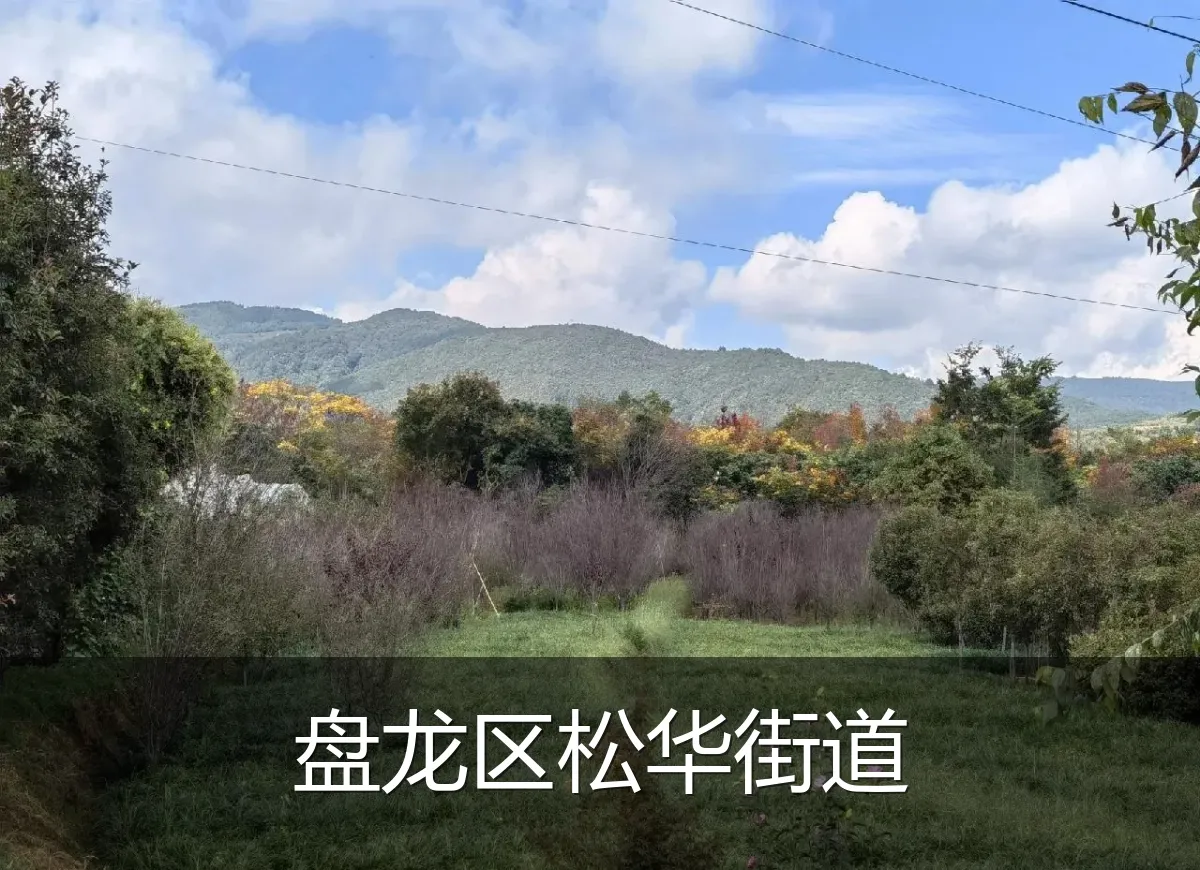 盘龙区松华街道