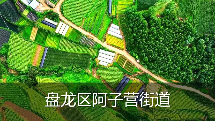 盘龙区阿子营街道