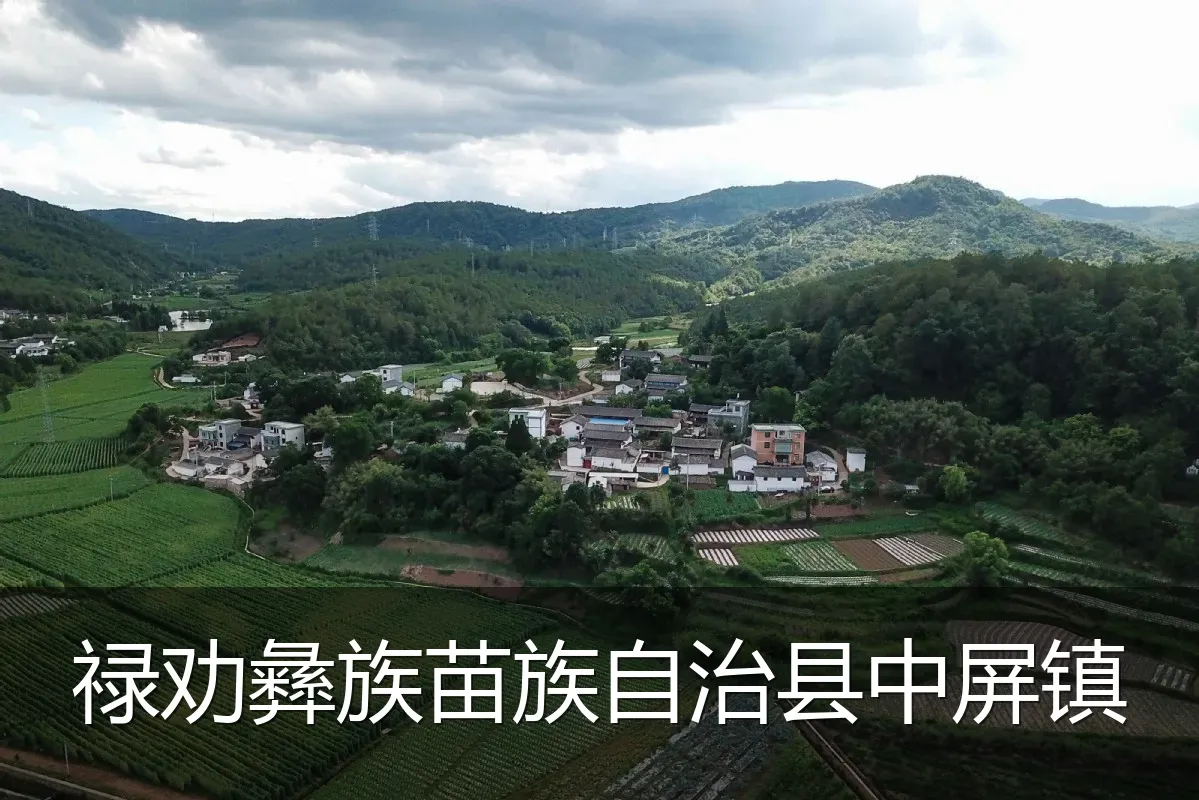禄劝彝族苗族自治县中屏镇