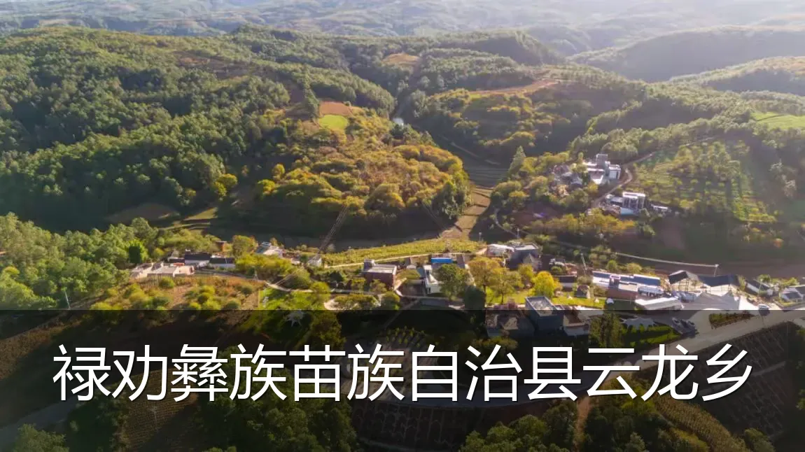禄劝彝族苗族自治县云龙乡