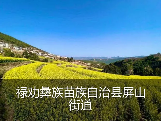 禄劝彝族苗族自治县屏山街道
