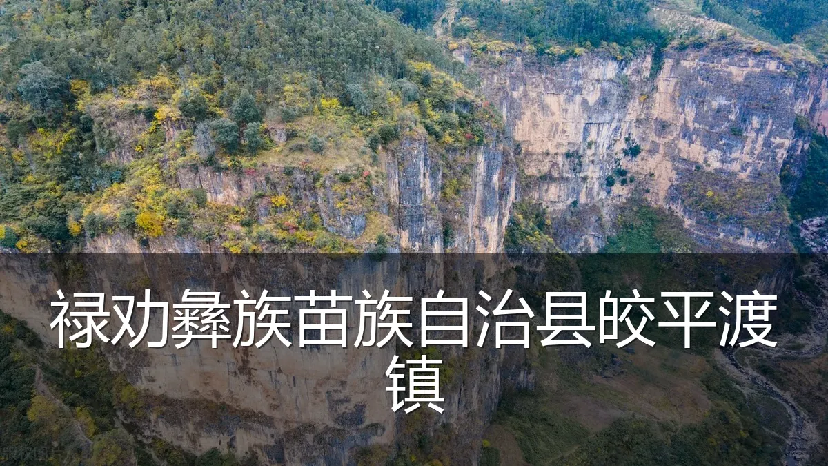 禄劝彝族苗族自治县皎平渡镇