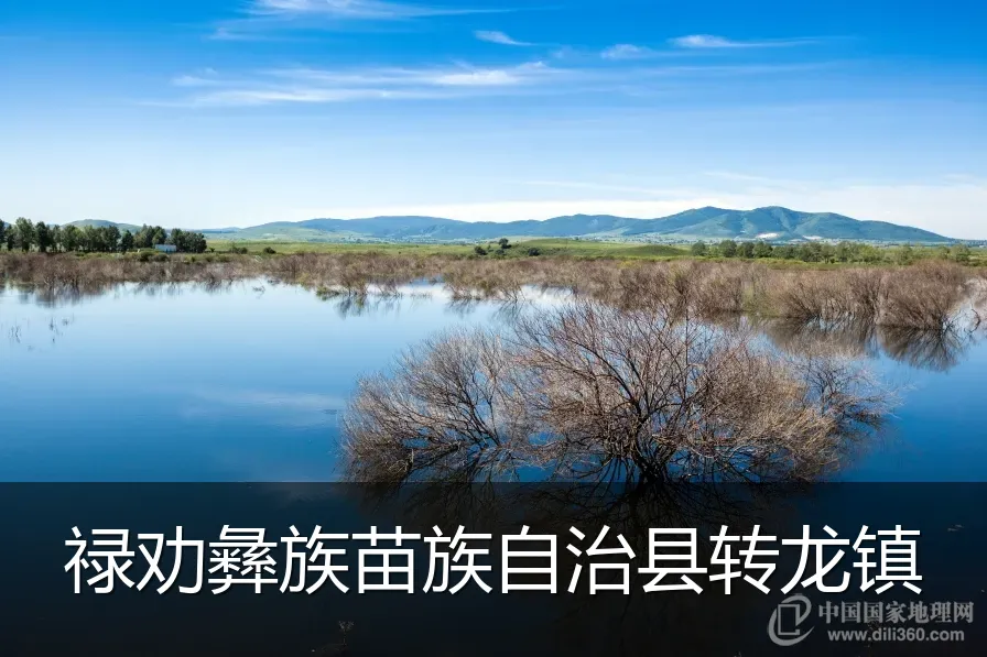 禄劝彝族苗族自治县转龙镇