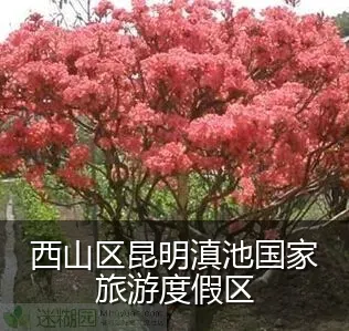西山区昆明滇池国家旅游度假区