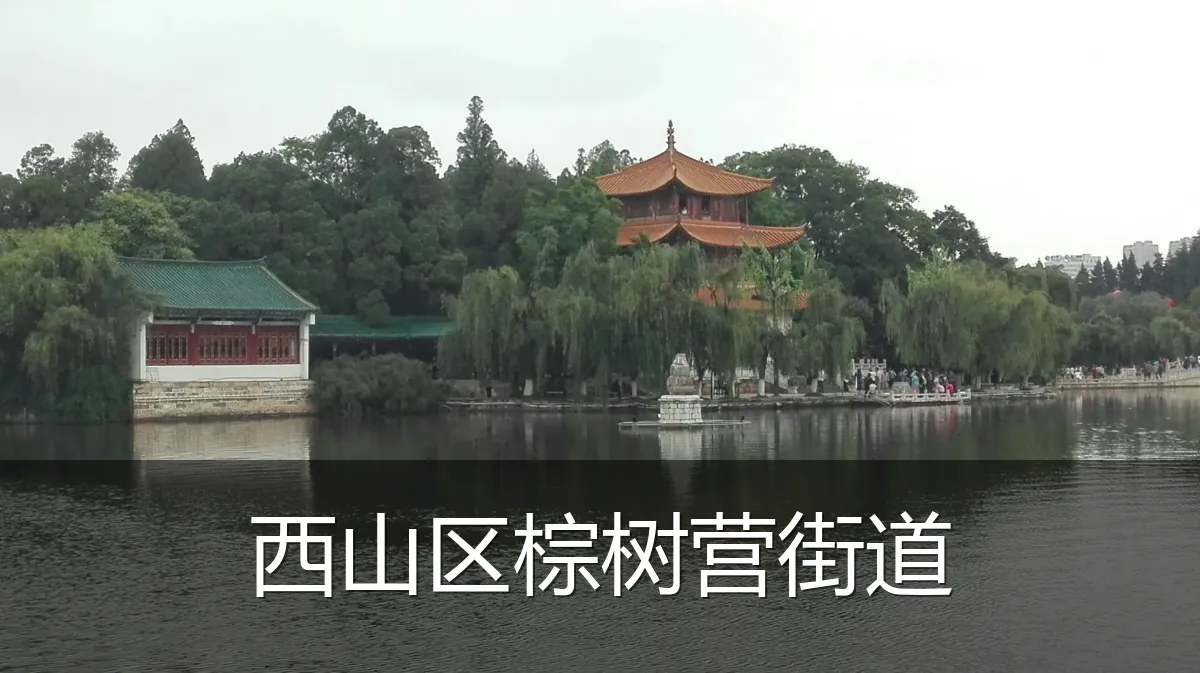 西山区棕树营街道