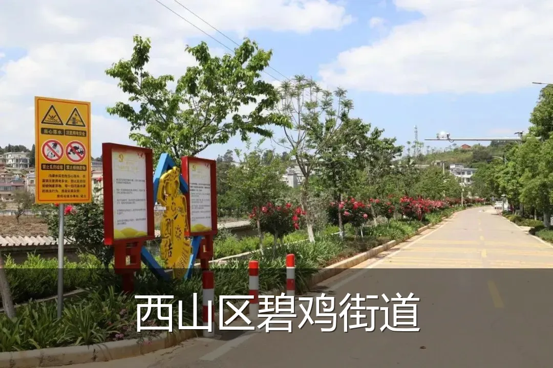西山区碧鸡街道