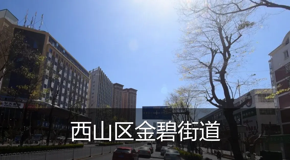 西山区金碧街道